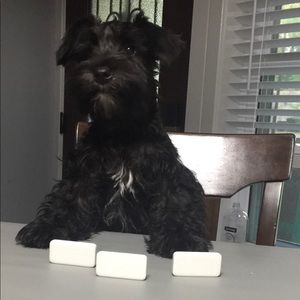 Meet your Posher, Laney